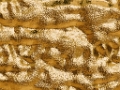 050207 (2)